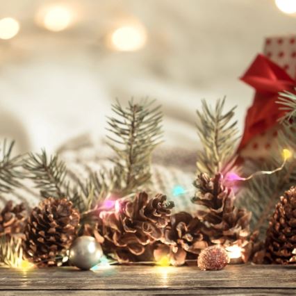 LED RGB Kerst lichtsnoer LED/10W/5V 10 m USB + afstandsbediening