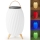 LED RGB Oplaadbaar tafellamp met een luidspreker 60W/2200 mAh IPX5