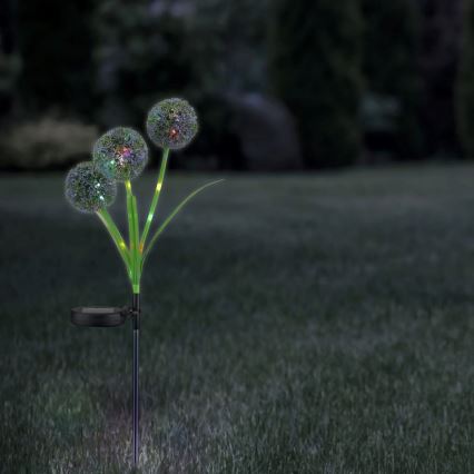 LED RGB Solarverlichting ALLIUM LED/1,2V 6500 600 mAh IP44 zwart