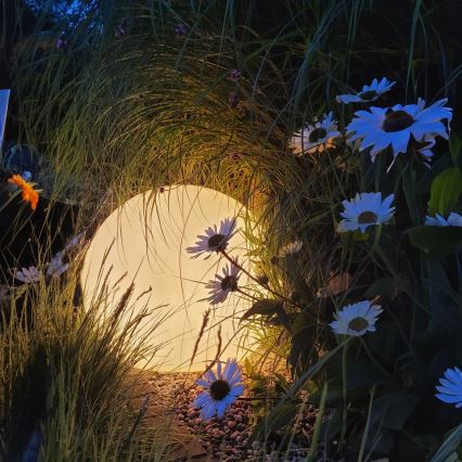 LED RGBW dimbare buitenlamp GLOBO 1xE27/9W/230V 2700-6500K pr. 40 cm IP44 Wi-Fi