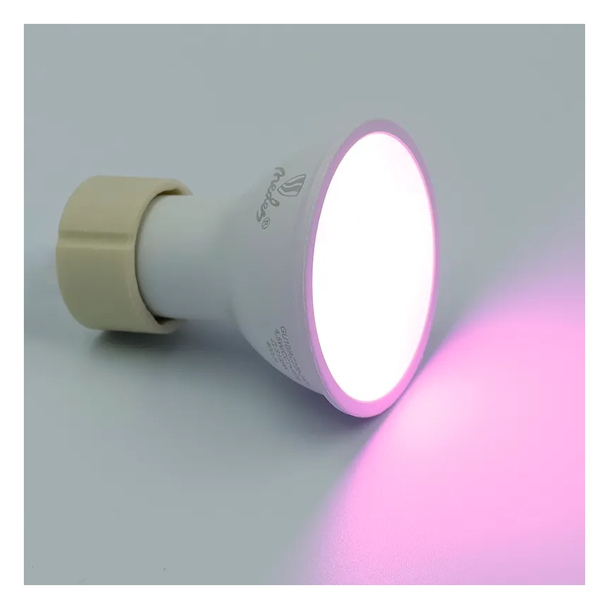 LED RGBW Dimbare lamp GU10/4,5W/230V 2700-6500K Wi-Fi Tuya