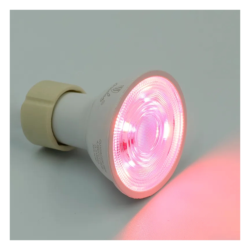 LED RGBW Dimbare lamp GU10/4,5W/230V 2700-6500K Wi-Fi Tuya