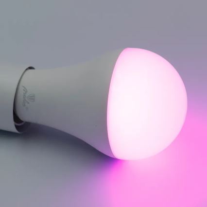 LED RGBW dimbare lamp A60 E27/15W/230V 2700-6500K Wi-Fi Tuya