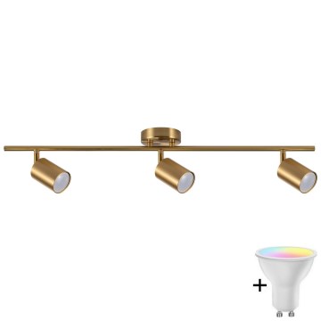 LED RGBW dimbare spot GOLDI 3xGU10/6,5W/230V 2700-6500K Wi-Fi goudkleurig