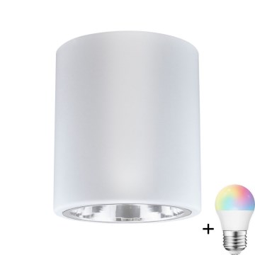 LED RGBW dimbare spot JUPITER 1xE27/6,5W/230V 2700-6500K Wi-Fi Ø 13 cm wit