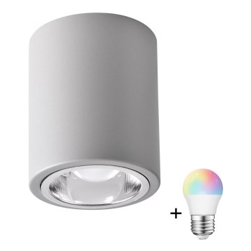 LED RGBW dimbare spot JUPITER 1xE27/6,5W/230V 2700-6500K Wi-Fi Ø 9,8 cm grijs