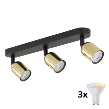 LED RGBW dimbare spot TOP 3xGU10/6,5W/230V 2700-6500K zwart/goud