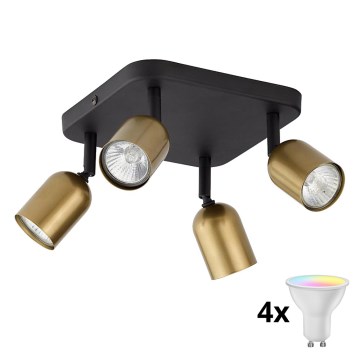 LED RGBW dimbare spot TOP 4xGU10/6,5W/230V 2700-6500K goud/zwart