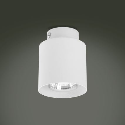 LED RGBW dimbare spot VICO 1xGU10/6,5W/230V 2700-6500K