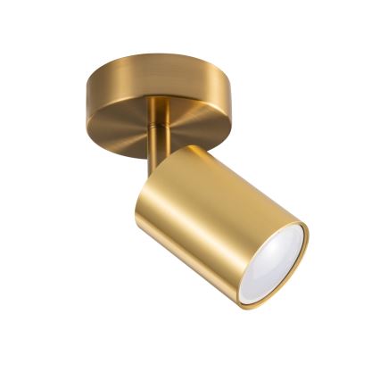 LED RGBW dimbare wandspot GOLDIE 1xGU10/4,8W/230V 3000K goud + afstandsbediening