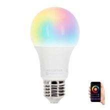 LED RGBW Lamp A60 E27/9W/230V 2700-6500K - Aigostar