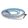 LED RGBW Strip DAISY 5m warm wit