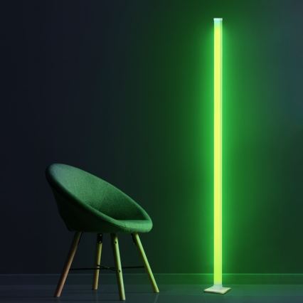 LED RGBW Dimbare Vloerlamp MAGICAL LED/7W/230V + afstandsbediening