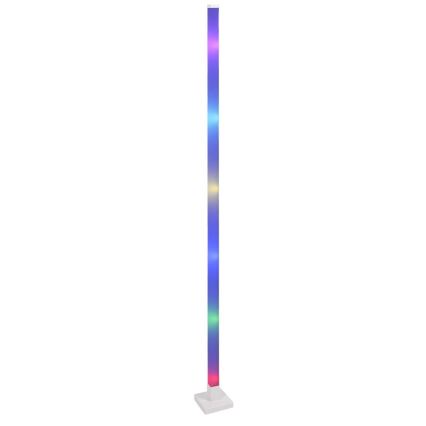 LED RGBW Dimbare Vloerlamp MAGICAL LED/7W/230V + afstandsbediening