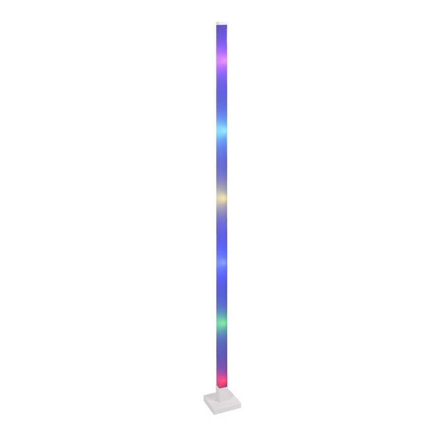 LED RGBW Dimbare Vloerlamp MAGICAL LED/7W/230V + afstandsbediening