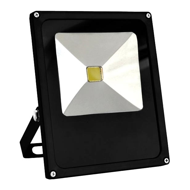 LED Schijnwerper 1x LED / 30W / 230V IP65