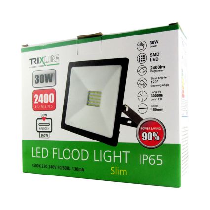 LED Schijnwerper LED/30W/230V IP65