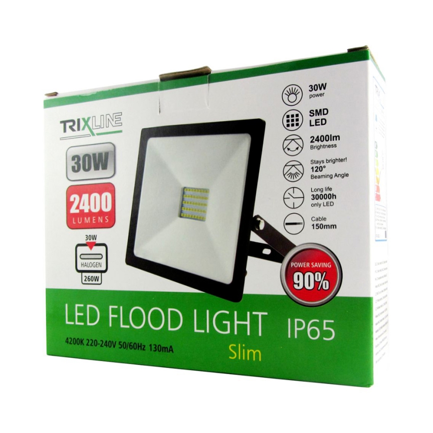 LED Schijnwerper LED/30W/230V IP65