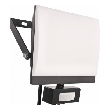 LED-schijnwerper met bewegings- en schemersensor TAMBO EVO LED/30W/230V 4000K IP44 zwart
