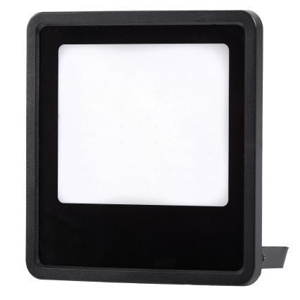 LED Schijnwerper voor buiten LED/100W/230V 4000K IP65 zwart