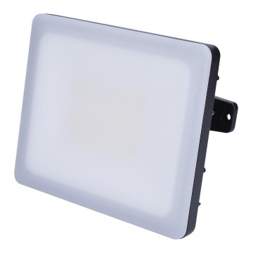 LED Schijnwerper voor buiten LED/30W/230V 4000K IP65