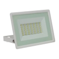 LED Schijnwerper voor buiten NOCTIS LUX 3 LED/30W/230V 3000K IP65 wit