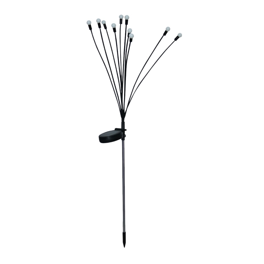 LED Solar decoratieve lamp 10xLED/1,2V 3000K 73 cm IP44