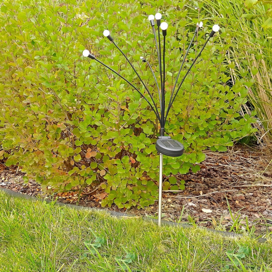 LED Solar lamp FIORINI 8xLED/1,2V 600 mAh IP44 zwart