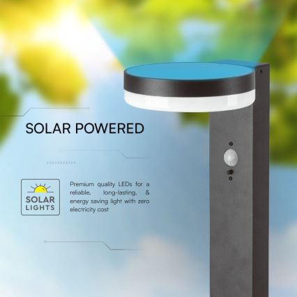 LED Solar lamp met sensor LED/2W/3,7V IP54 3000K 2200 mAh rond zwart
