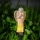 LED-solarlamp LED/1,2V 300 mAh IP44 Engel
