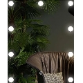 LED Spiegel met verlichting 9xLED/1W/230V 3000/4000/6000K 50x40 cm IP44