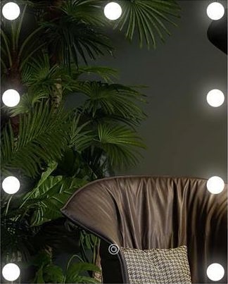 LED-spiegel met verlichting 9xLED/1W/230V 3000/4000/6000K 50x40 cm IP44