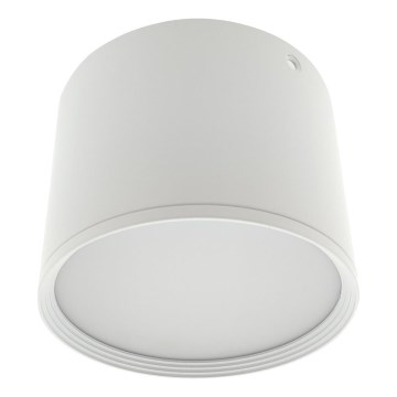 LED-spot LED/10W/230V 3000/4000/6400K Ø 12 cm wit