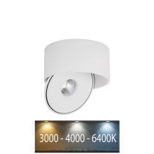 LED spot LED/20W/230V 3000/4000/6400K CRI 90 wit