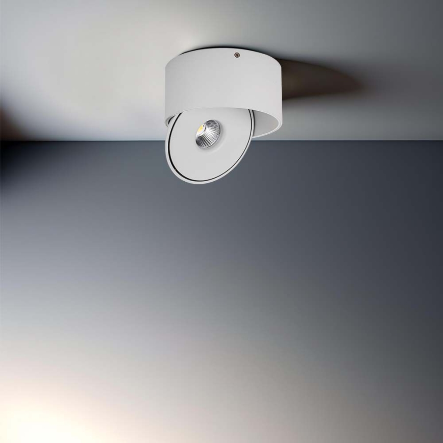 LED Flexibel Spot LED/20W/230V 3000/4000/6400K CRI 90 wit