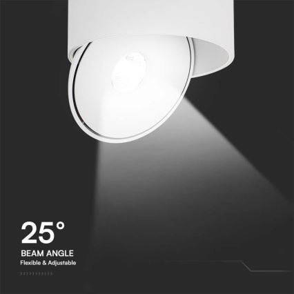 LED Flexibel Spot LED/20W/230V 3000/4000/6400K CRI 90 wit