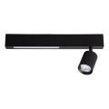 LED spot MAGNET LED/5W/230V + 1xGU10/60W 3000/4000K zwart