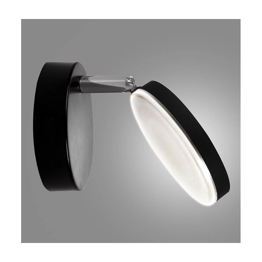 LED Spot mural CAPRI LED/5W/230V