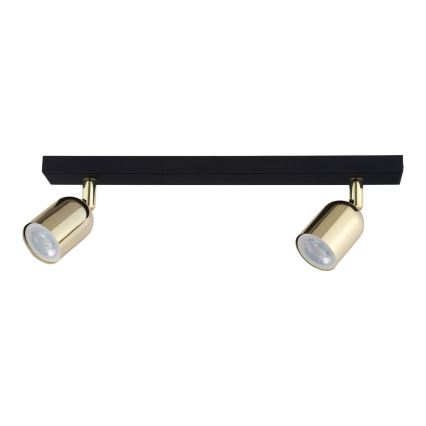 LED-spot TOP 2xGU10/10W/230V zwart/goud