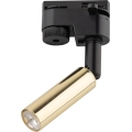 LED spot voor 1-fase railsysteem LAGOS 1xG9/3W/230V goud/zwart