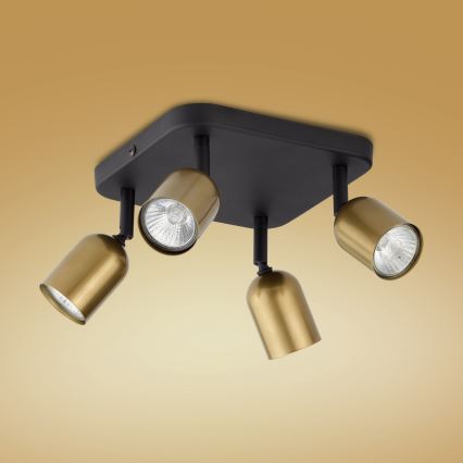 LED-spotlamp TOP 4xGU10/10W/230V goud/zwart