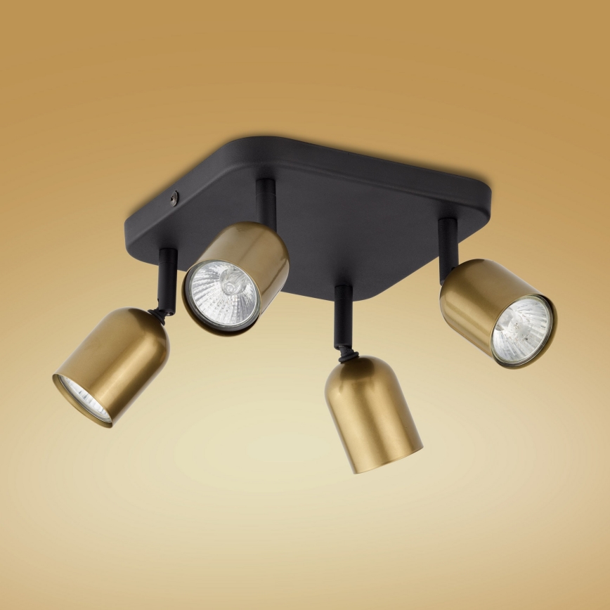 LED-spotlamp TOP 4xGU10/10W/230V goud/zwart