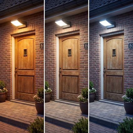 LED dimbare buitenwandlamp LED/12/18/24W/230V 3000/4000/6500K IP54 zwart