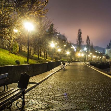 LED Straatlamp met schemersensor SAMSUNG CHIP LED/100W/230V 6500K IP65 grijs