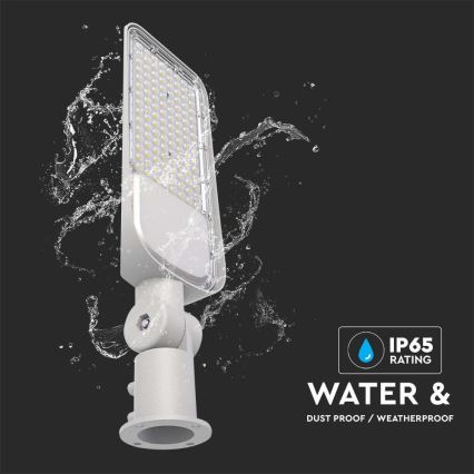 LED Straatlamp SAMSUNG CHIP LED/100W/230V 6500K IP65 grijs