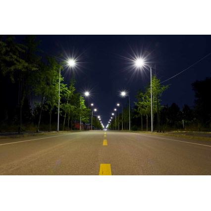 LED Straatlantaarn BOSTON LED/35W/230V IP65