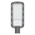 LED Straatlantaarn LED/50W/230V 6500K IP65 grijs