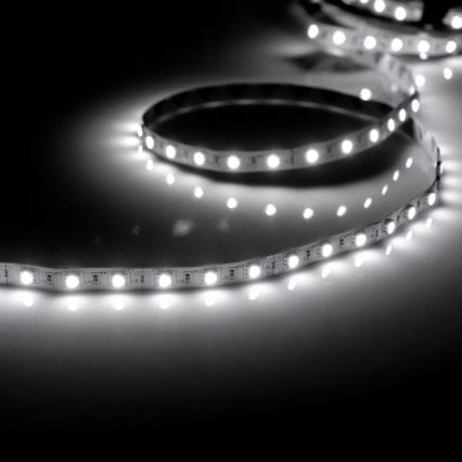 LED Strip 5m 28W/12V IP20 6500K