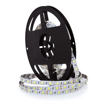 LED Strip 5m LED/10W/12V IP20 wit