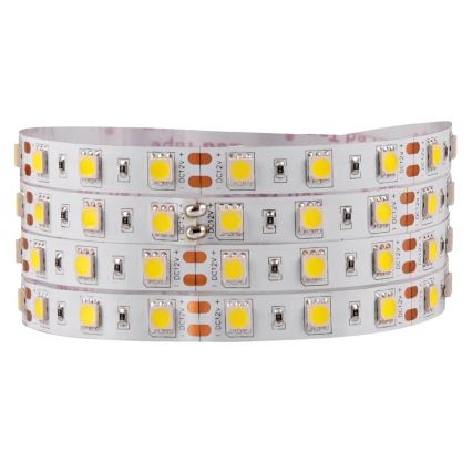 LED Strip 5m LED/10W/12V IP20 wit